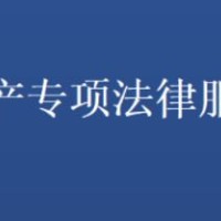 数据财产专项法律服务咨询